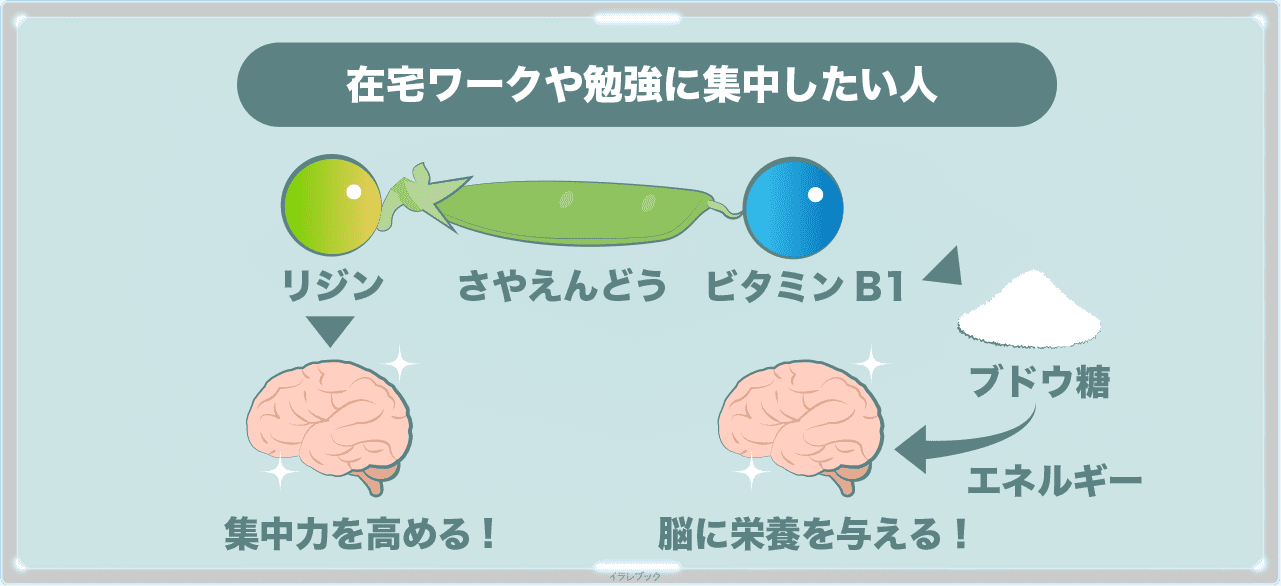 さやえんどうにあるリジンとビタミンB1が脳の集中力をあげてくれる