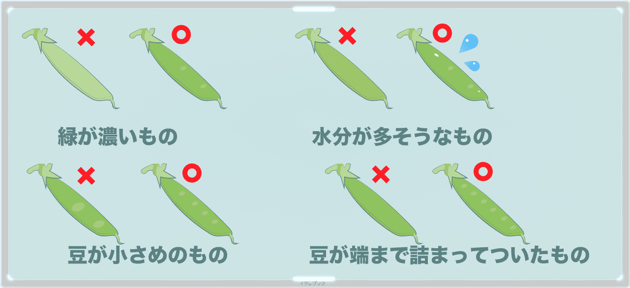 美味しいさやえんどうの選び方