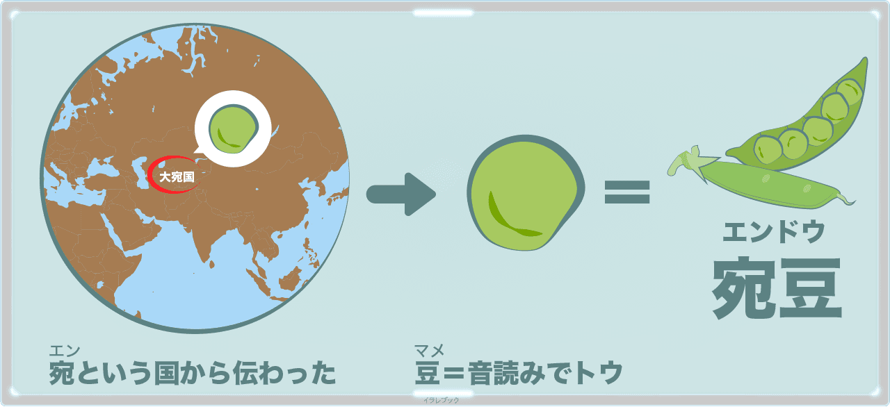 えんどう豆の名前の由来は、宛（エン）という国から伝わった豆だから宛（エン）の豆（マメ）＝宛豆（エンドウ）となった