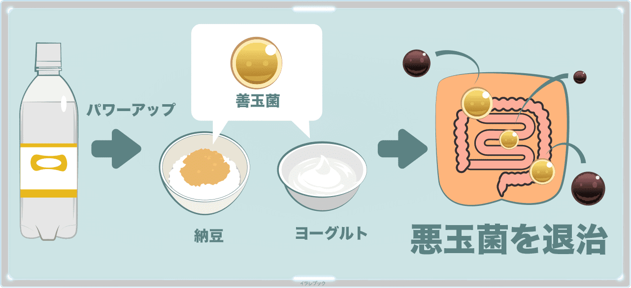 発酵食品も一緒に腸へ届ける 納豆やヨーグルトも一緒に食べると善玉菌のエサになってパワーアップ!悪玉菌を退治できる