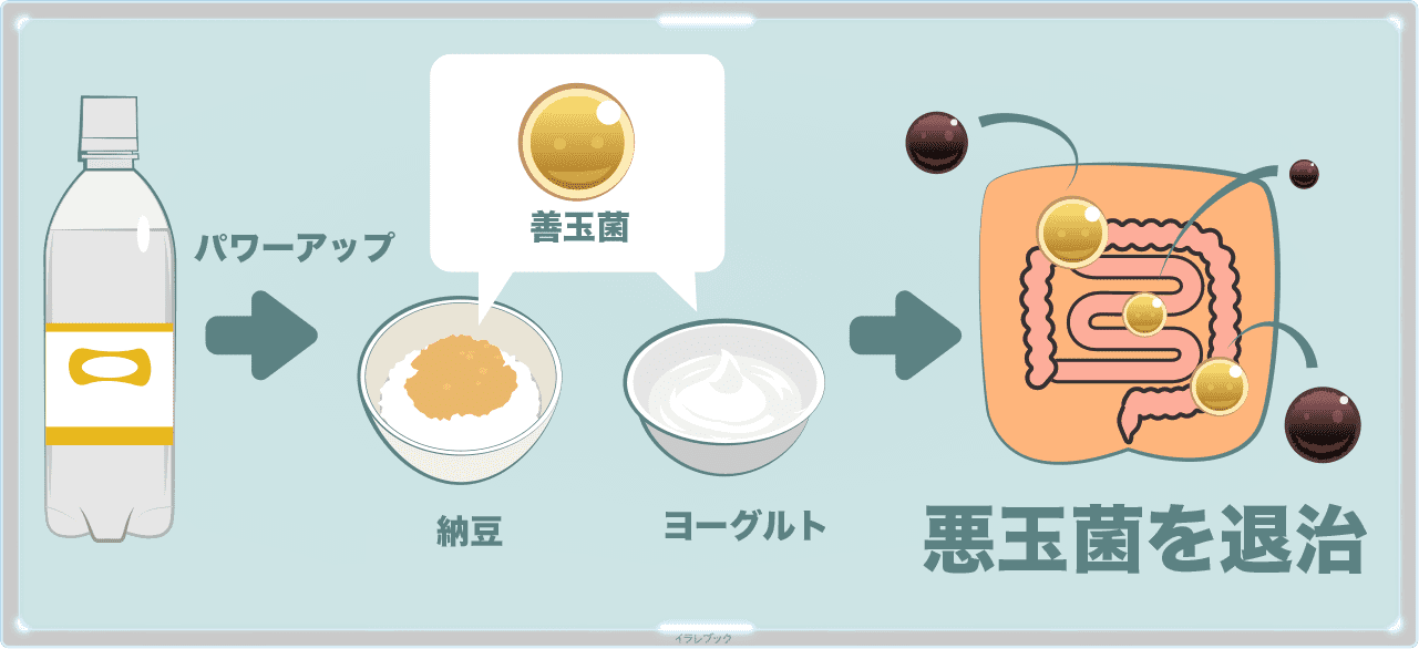 発酵食品も一緒に腸へ届ける　納豆やヨーグルトも一緒に食べると善玉菌のエサになってパワーアップ！悪玉菌を退治できる