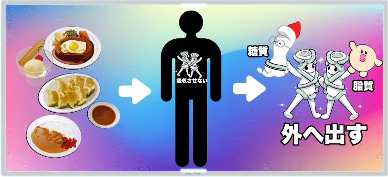 水溶性食物繊維のもつはたらきで、摂った糖質や脂質を体に吸収させずに外へ排出させることができる