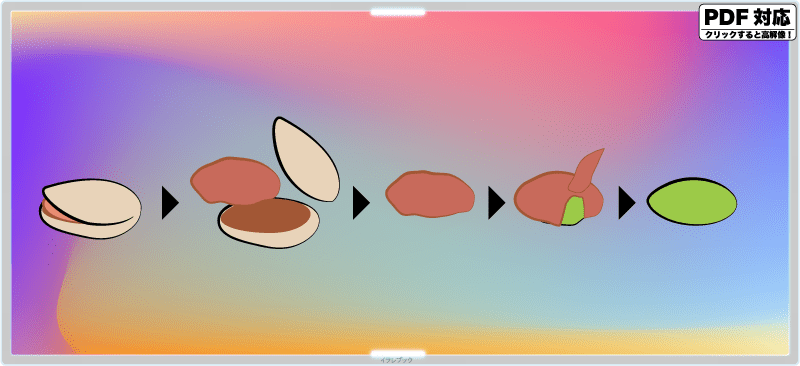 殻をむいて食べるピスタチオ