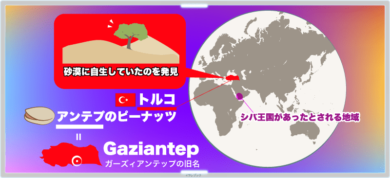 地中海沿岸、古代トルコ周辺で砂漠に自生していたのを発見。