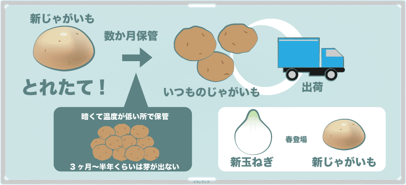 何が『新』なの?