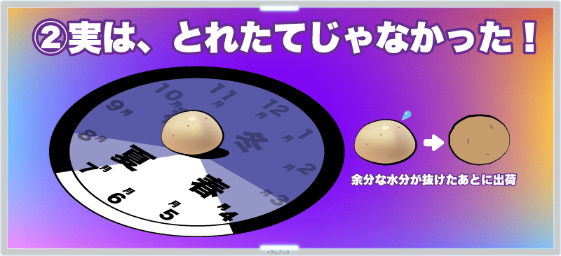 じゃがいもの収穫ピークは春~初夏、余分な水分が抜けたあとに出荷