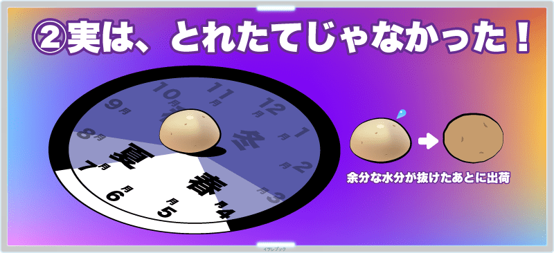 じゃがいもの収穫ピークは春～初夏、余分な水分が抜けたあとに出荷