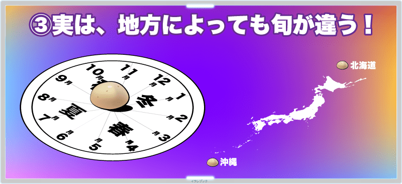 じゃがいもは1年中安定して全国に供給されている