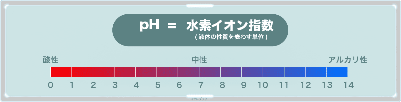 アントシアニンという色素