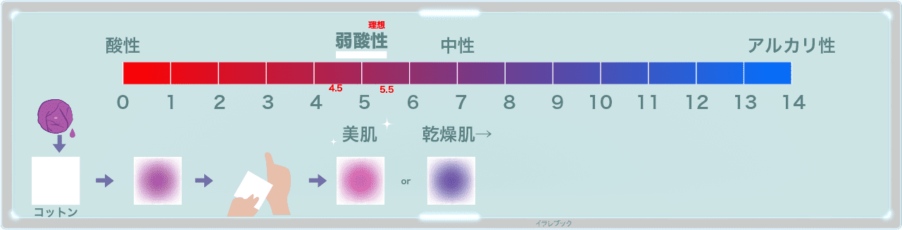 アントシアニンという色素