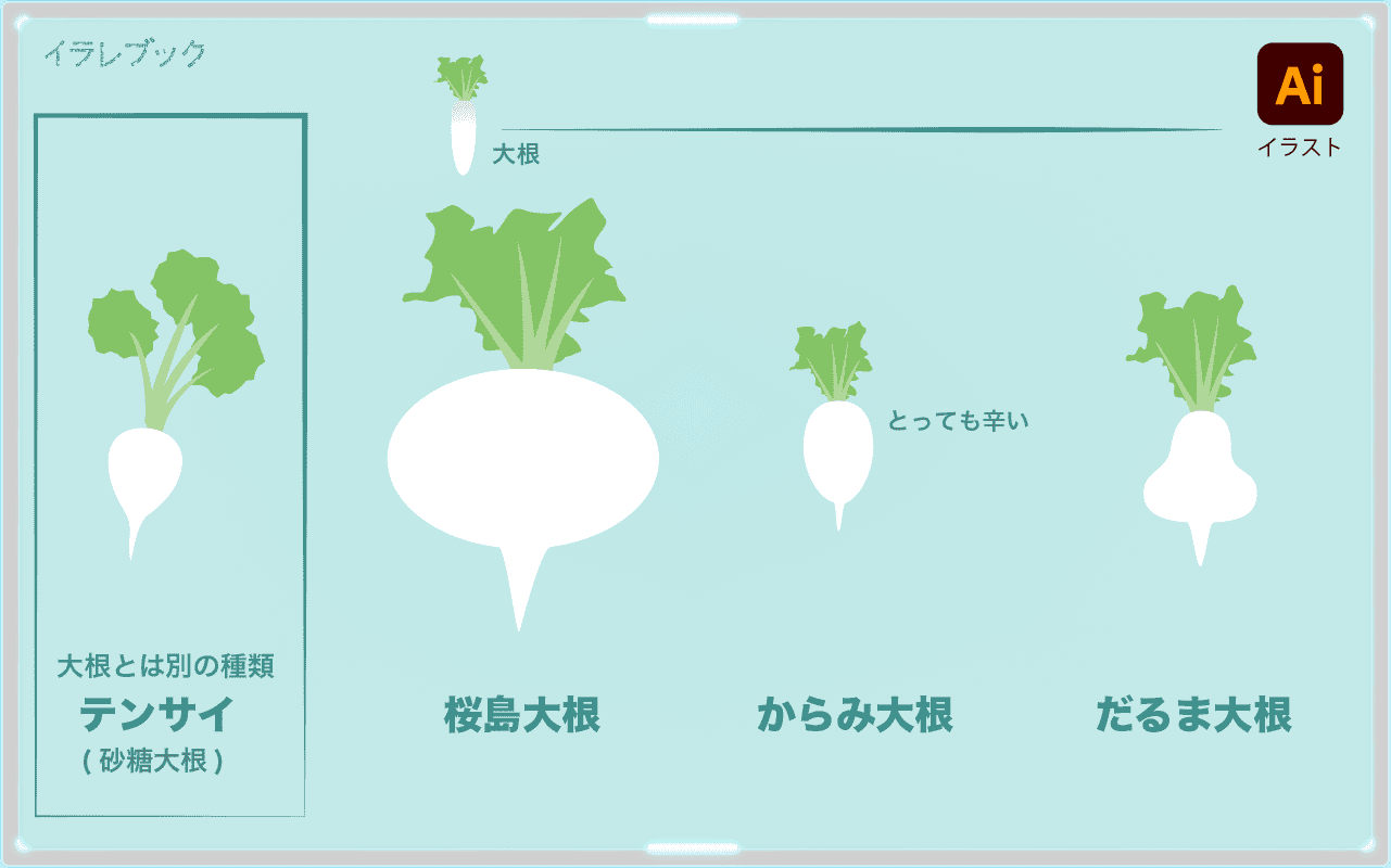 大根の仲間たち