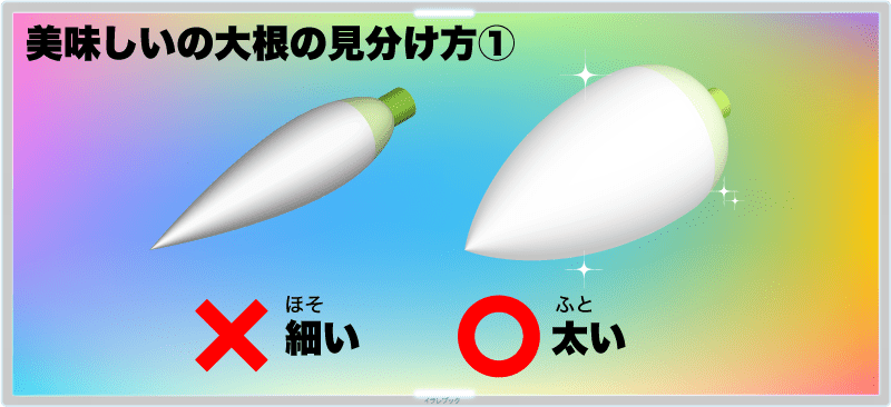 【美味しい大根の見分け方①】太いものを選ぶ