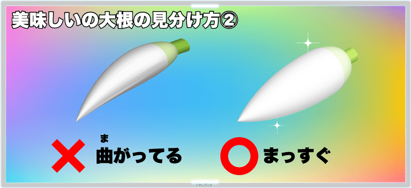 【美味しい大根の見分け方②】まっすぐなものを選ぶ