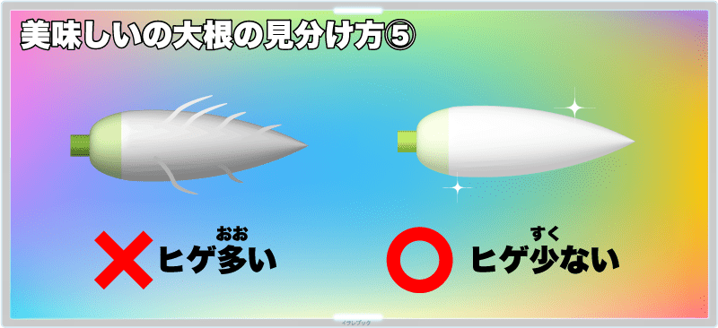 【美味しい大根の見分け方⑤】ヒゲが少ない方を選ぶ