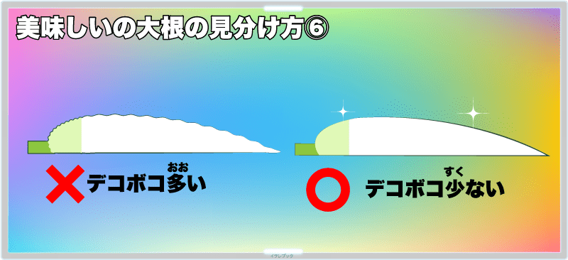 【美味しい大根の見分け方⑥】表面にでこぼこが少ないものを選ぶ