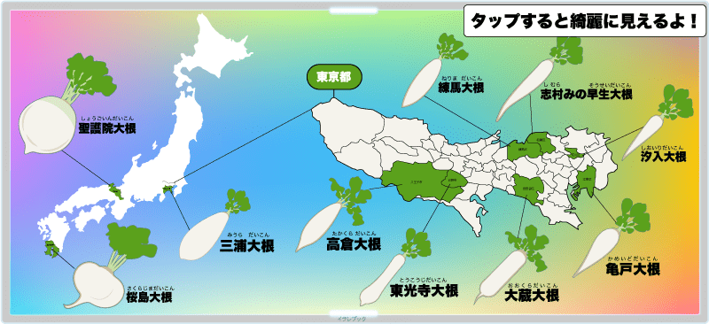 【大根のタンパク質分解酵素を図解】プロテアーゼの消化酵素を徹底分析!地方大根一覧も