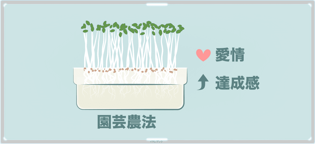 日本かいわれ協会