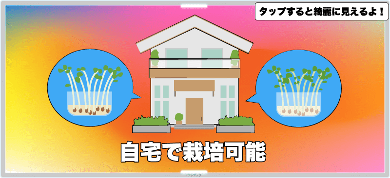 かいわれ大根は自宅で栽培可能