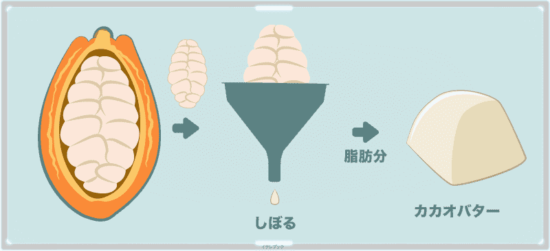 カカオバター