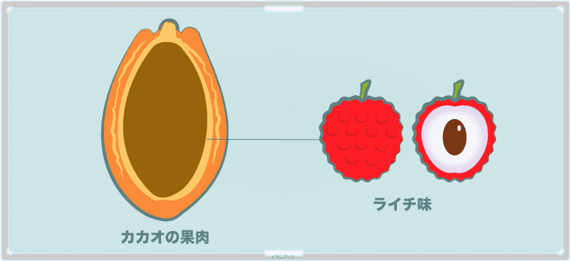 カカオの果肉はライチ味