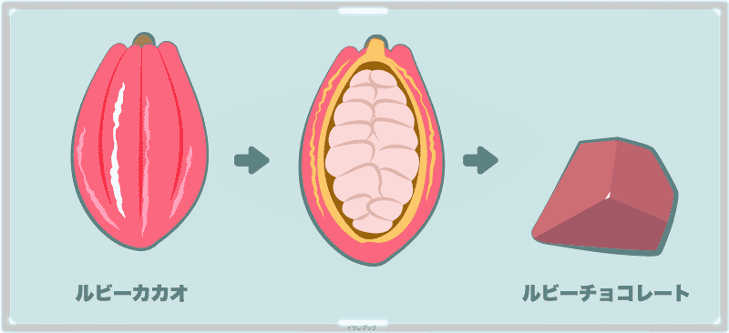 ルビーカカオから作られたルビーチョコレート