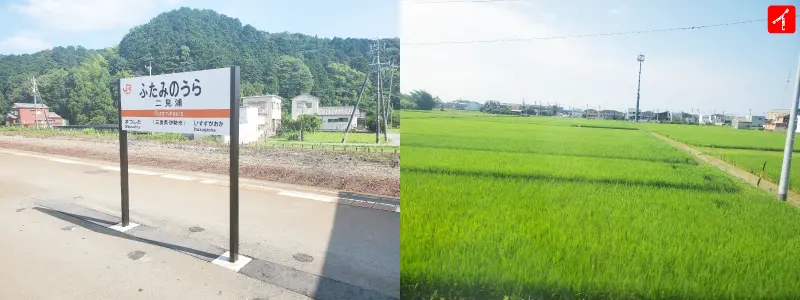 二見浦駅写真