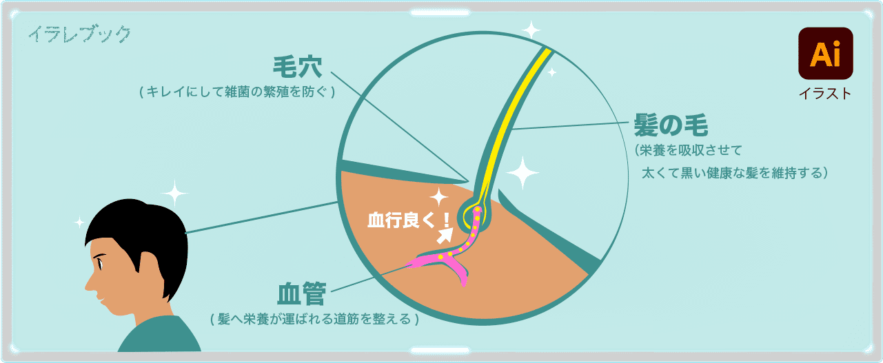 頭皮の血行を良くする