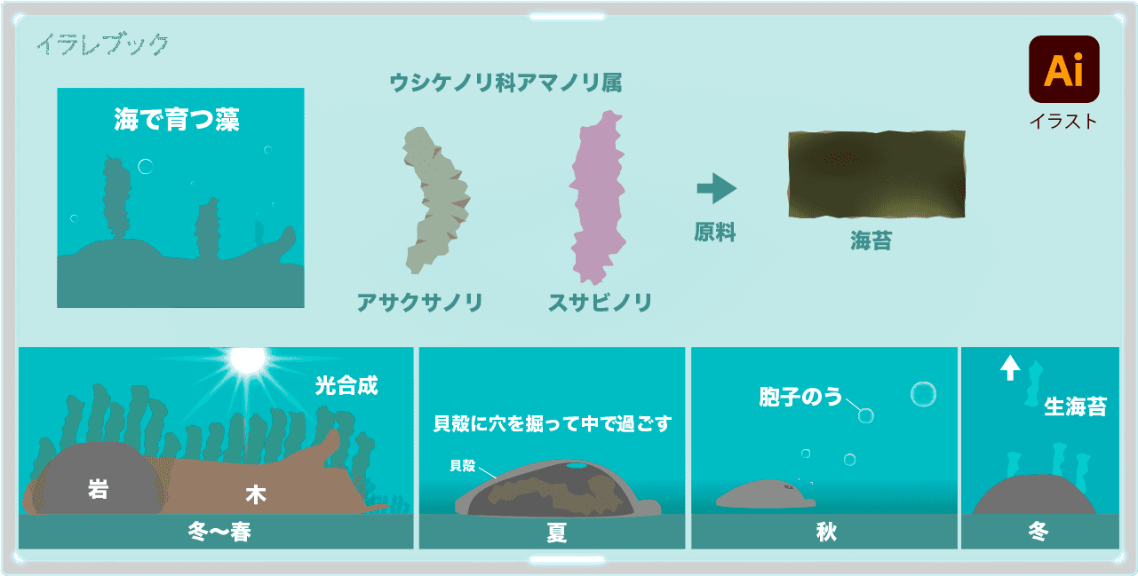 海苔の一生