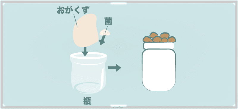 ぶなしめじの人工栽培