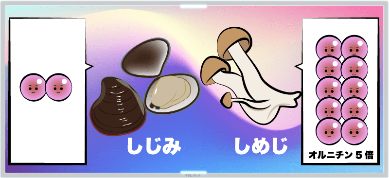 しめじに含まれるオルニチンは、しじみの約5倍!