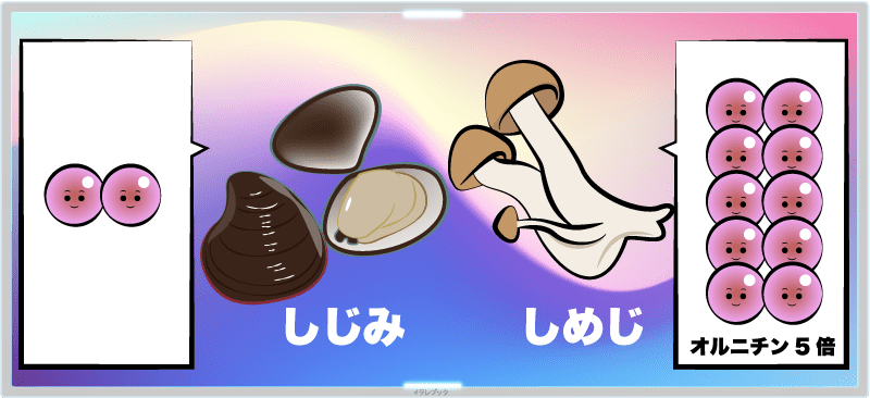 しめじに含まれるオルニチンは、しじみの約5倍！