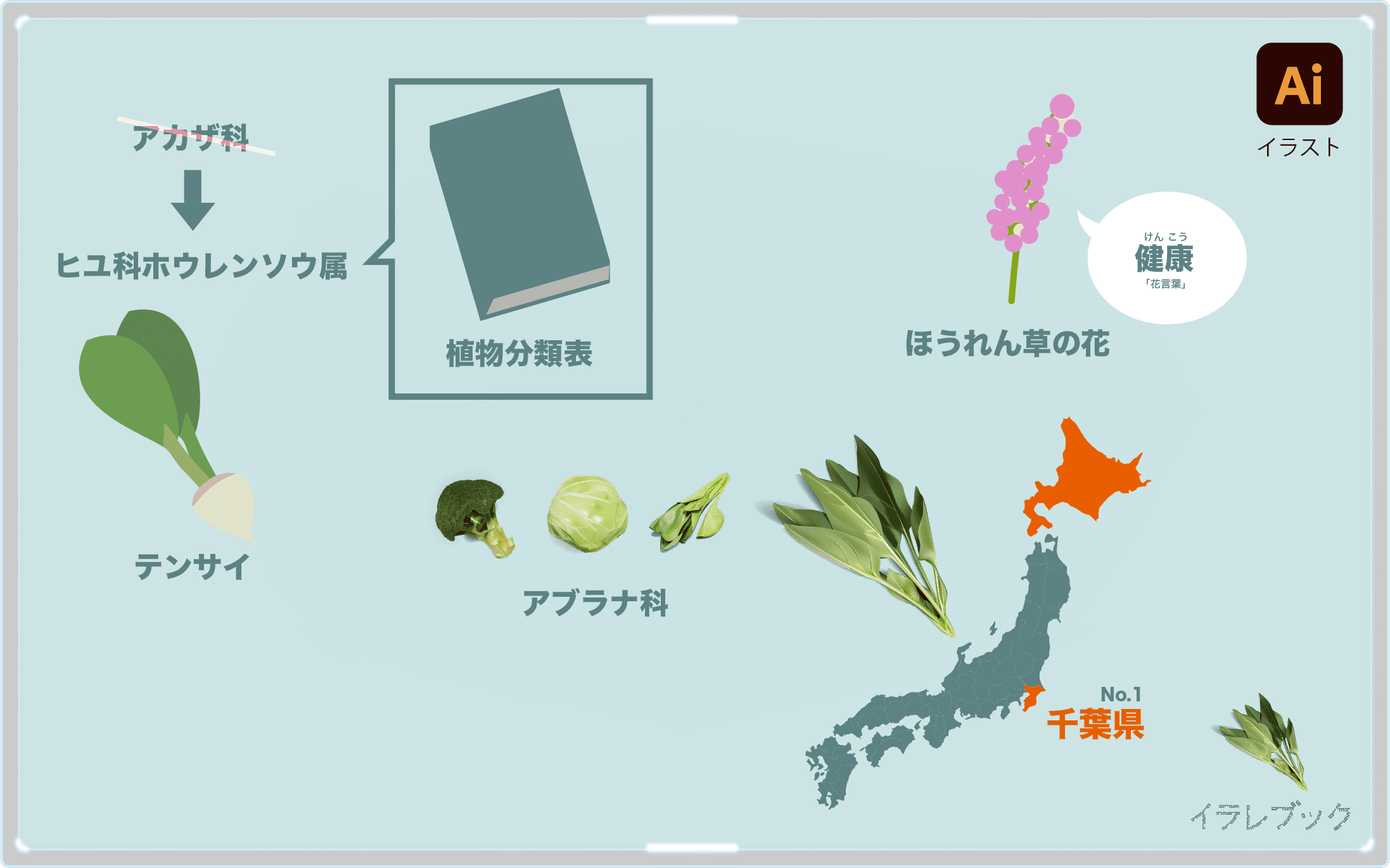 ほうれん草の花言葉イラスト