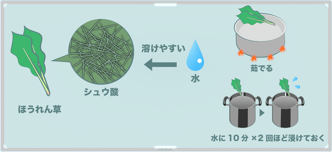 ほうれん草の花言葉イラスト