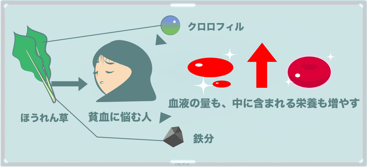 ほうれん草は貧血に悩む人へ