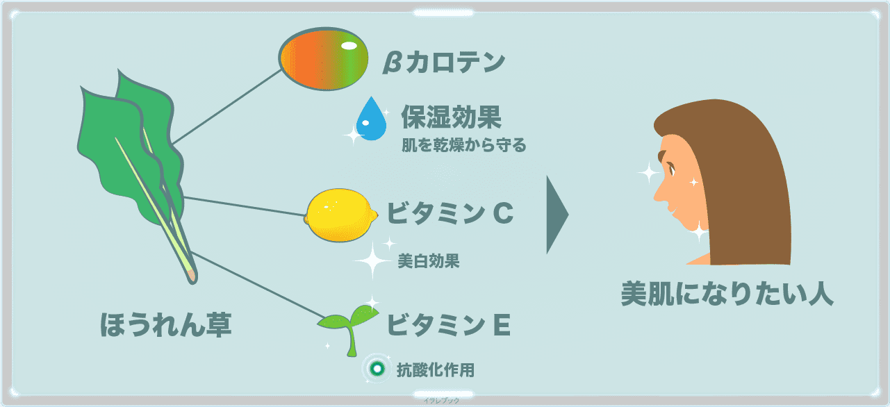 ほうれん草は美肌になりたい人へも