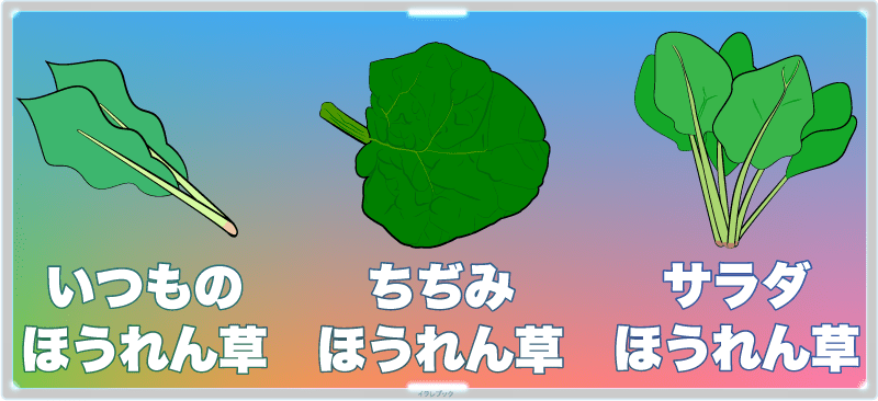 いつものほうれん草、ちぢみほうれん草、サラダほうれん草