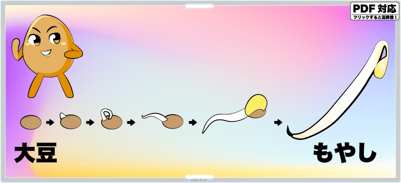 もやしは大豆の新芽