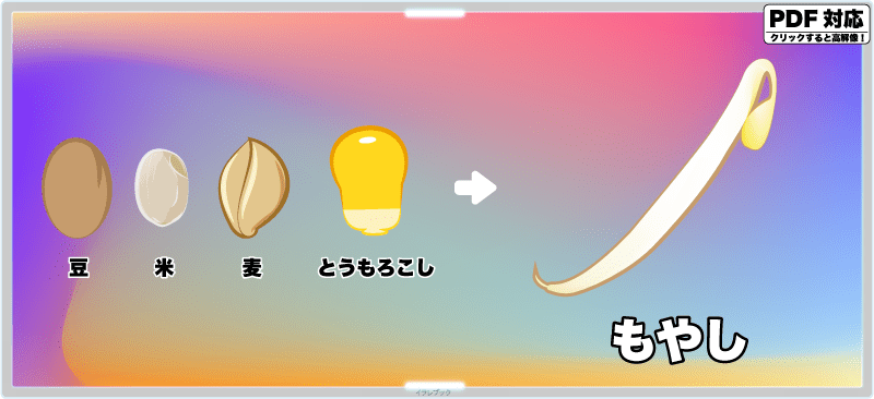 豆やお米、麦やとうもろこしからもやしができる