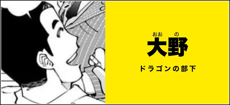 大野のイメージ