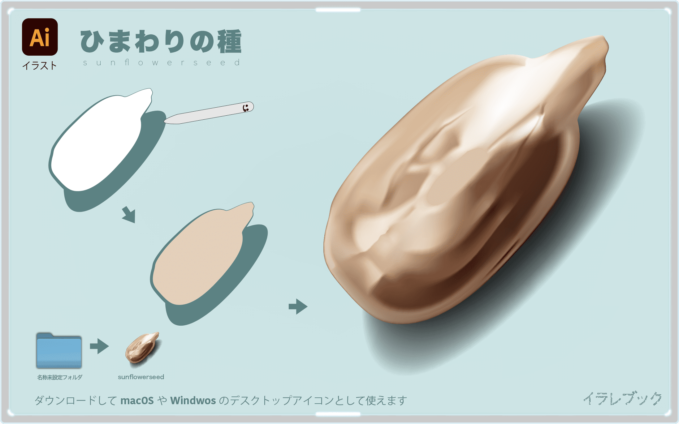 ひまわりの種イラスト　sunflowerseed2