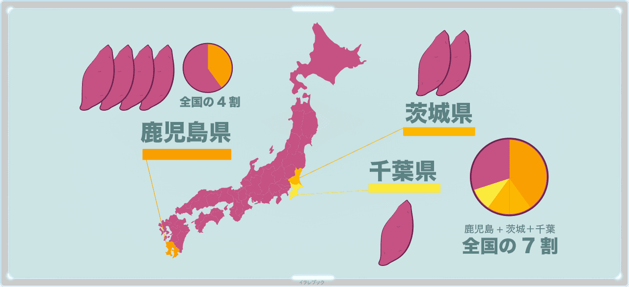 さつまいもの花/花言葉と生産地