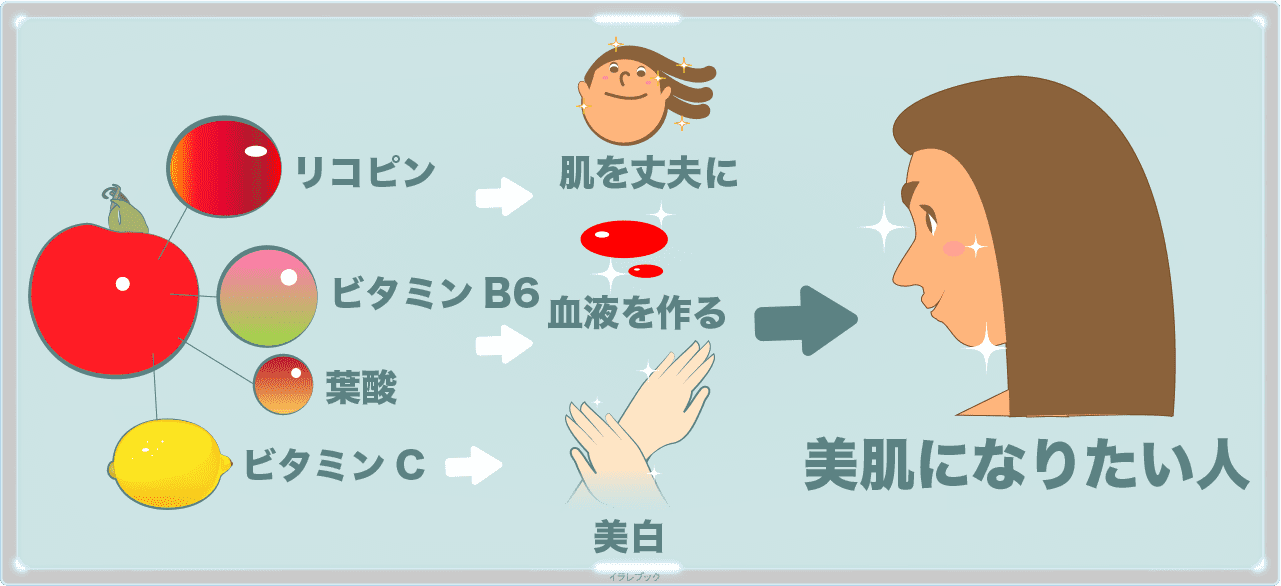 ミニトマトはリコピンとビタミンB6が肌を丈夫にして美肌へ