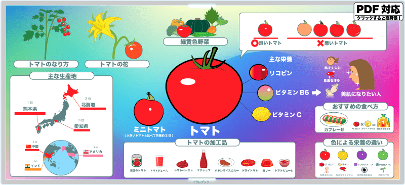 【ミニトマトの栄養とカプレーゼの秘密】トマトはオリーブオイルと食べれば吸収力アップ！