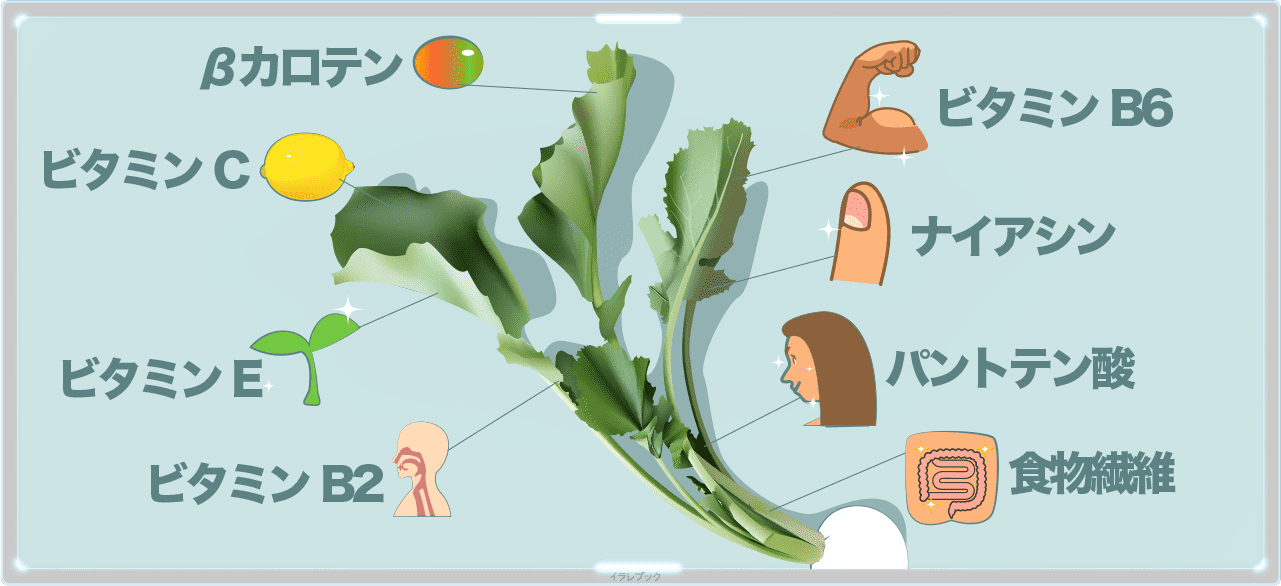 かぶの葉の栄養一覧