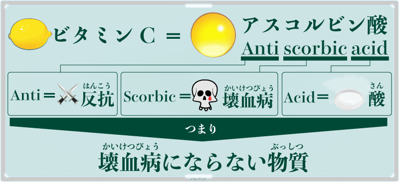 ビタミンCの正式名称はアスコルビン酸。壊血病を防ぐ成分として発見された物質