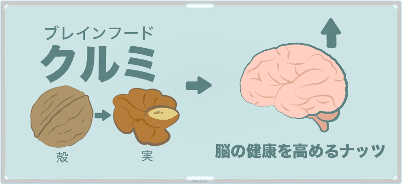 クルミはブレインフード