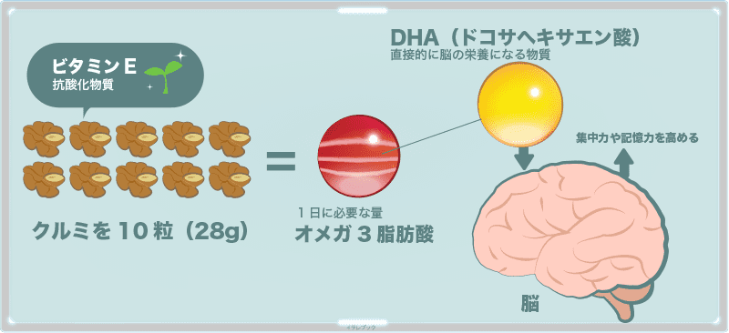 胡桃にあるオメガ3脂肪酸にはDHA(ドコサヘキサエン酸)が含まれていて、脳の直接的な栄養になる
