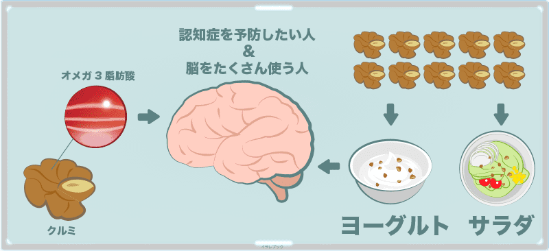 オメガ3脂肪酸がダントツ多く含まれているクルミなので、アルツハイマー型認知症を予防したい人はもちろん、日々脳を酷使するような仕事をする日には絶対的におすすめ