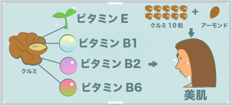 オメガ3脂肪酸がダントツ多く含まれているクルミなので、アルツハイマー型認知症を予防したい人はもちろん、日々脳を酷使するような仕事をする日には絶対的におすすめ