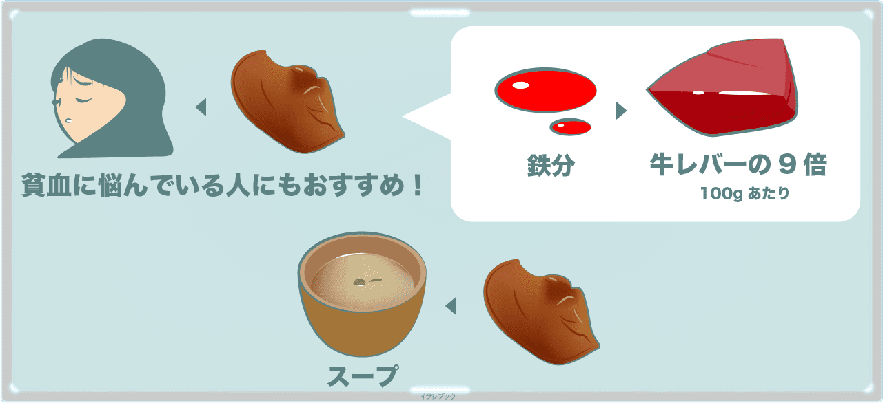 きくらげの鉄分はレバーの9倍も、貧血に悩んでいる人にもおすすめ